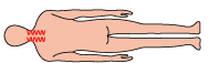 illust